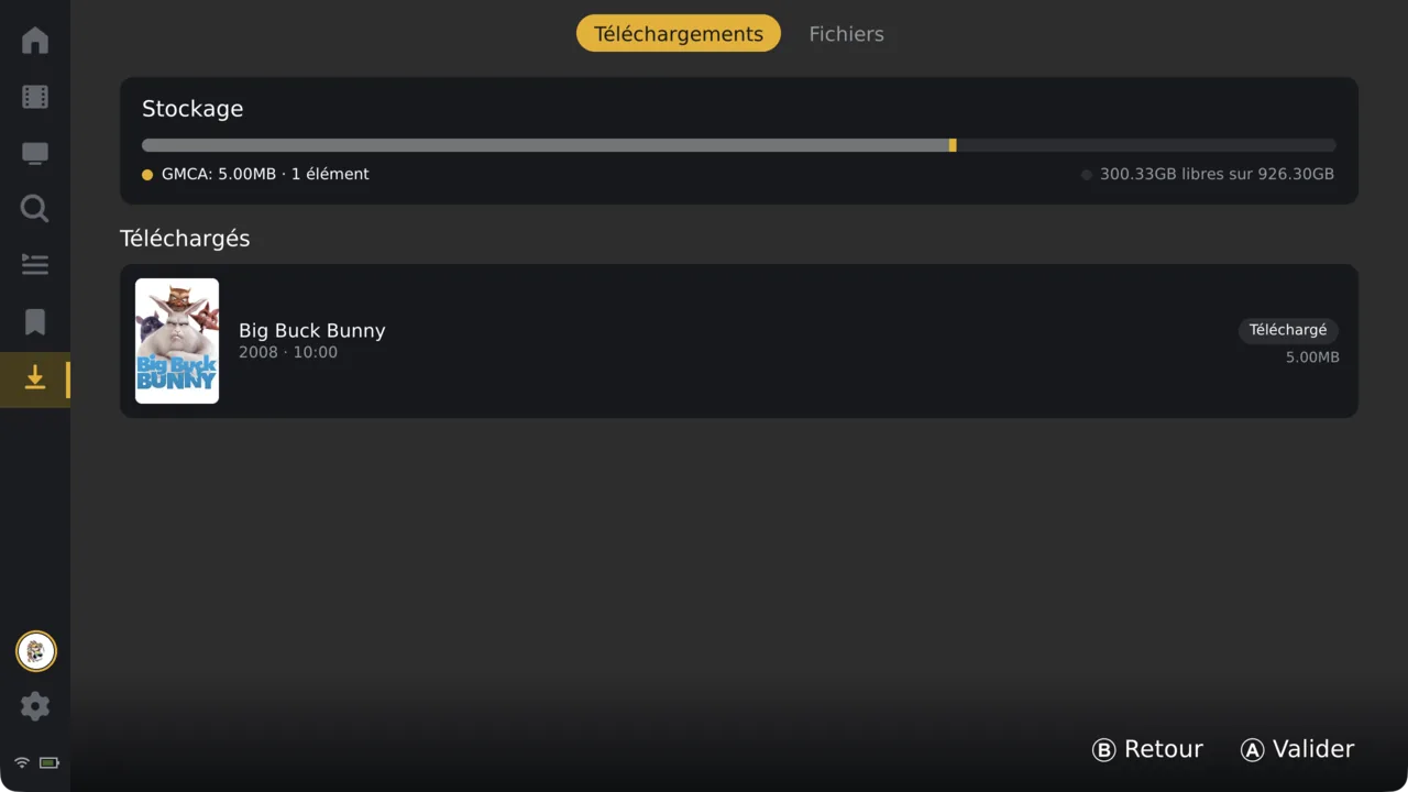 Offline downloads — the same layout across every server